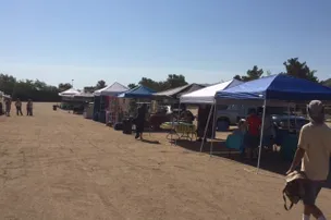 Joshua Tree RV Campground – photo 5