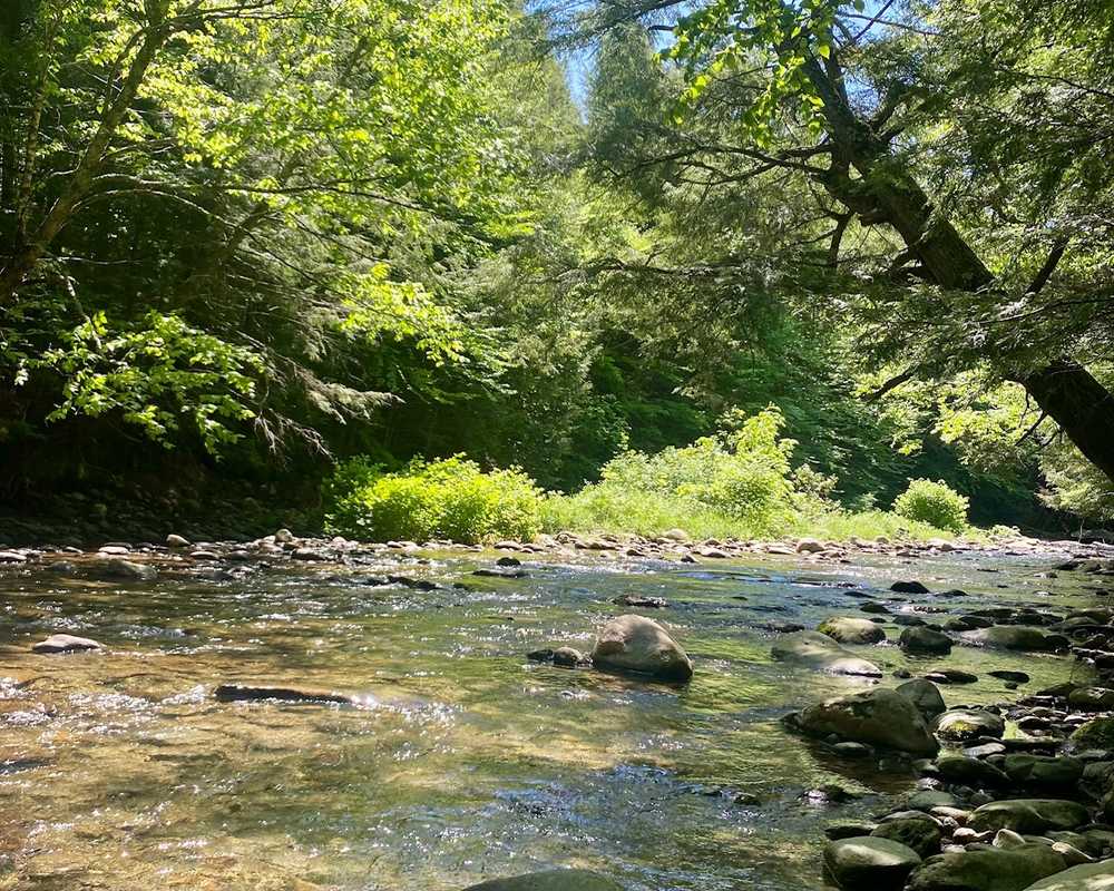 Park Image 16