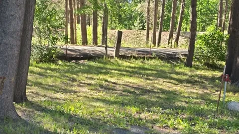 Tent Camping Electric — image 2 of 3