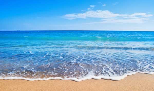 Vacation Destination