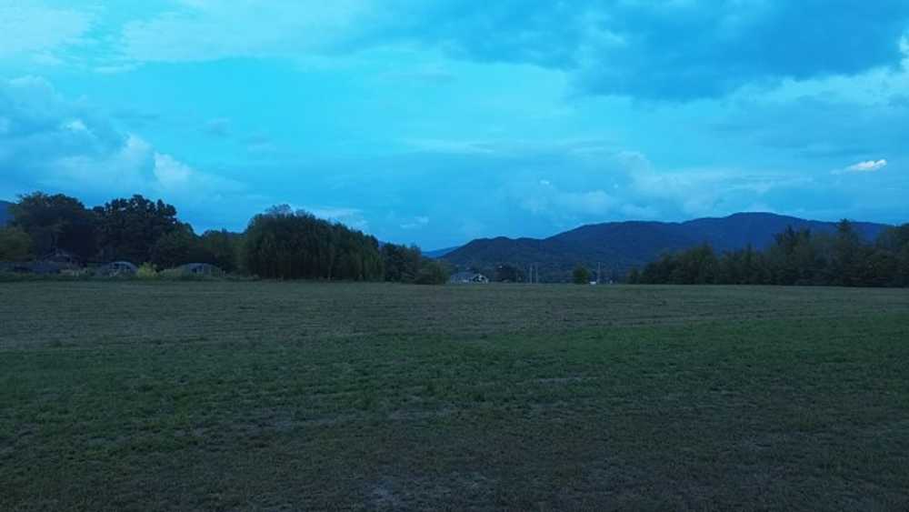 Park Image 8