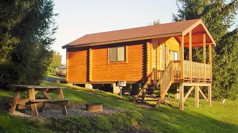Deluxe Pet Friendly Cabin — image 1 of 7