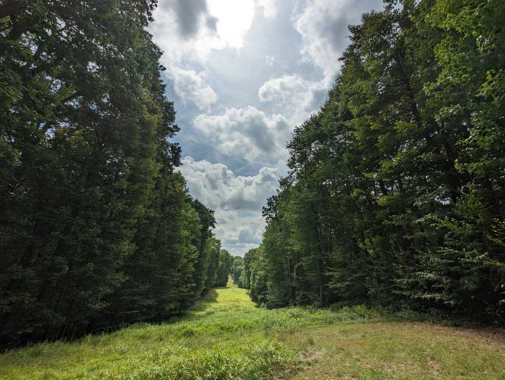 Benner's Meadow Run, Farmington, Pennsylvania - Photo 5