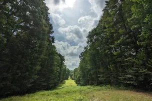 Benner's Meadow Run – photo 5