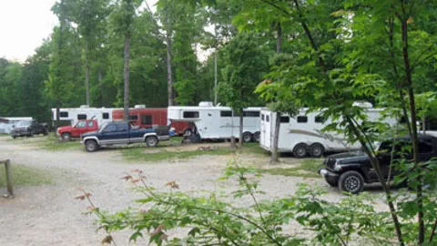 Standard Pull-Through RV Site — image 1 of 1