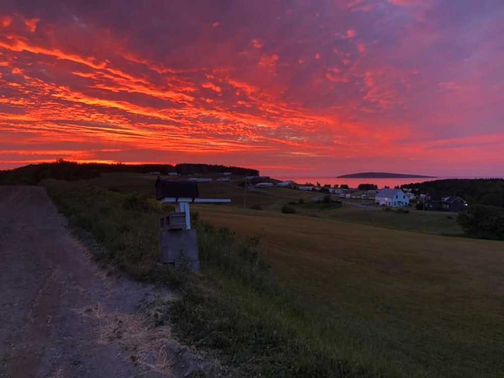 MacLeod's Beach Campsite - Photo 4