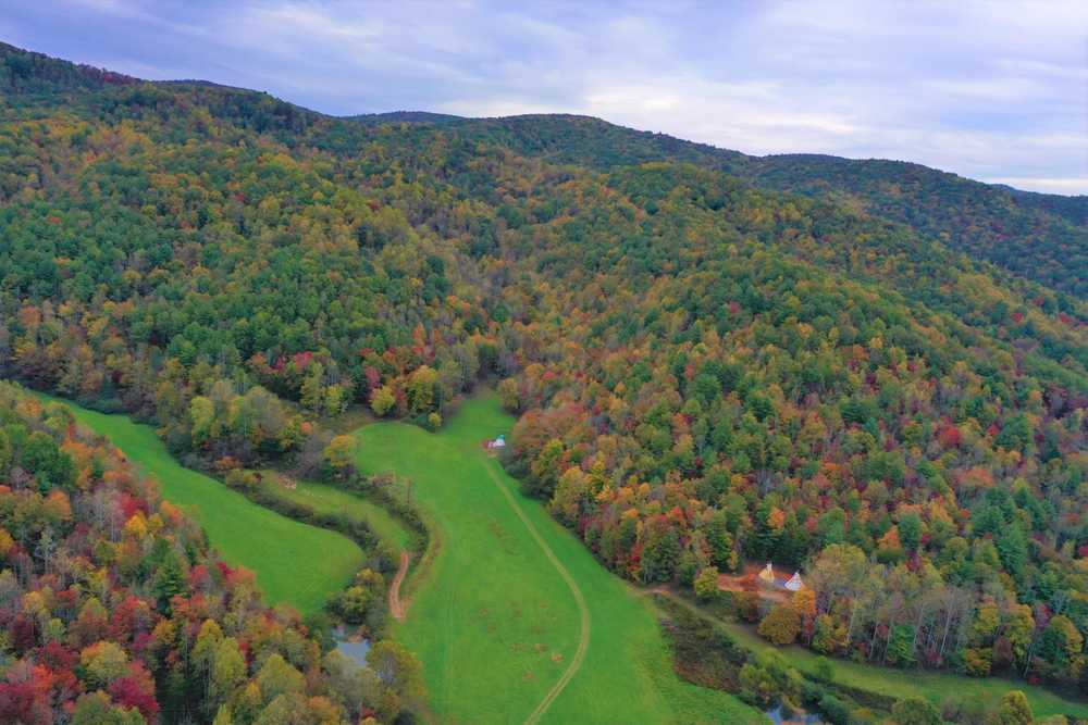 Blue Ridge Ranch, Ferguson, North Carolina - Photo 3