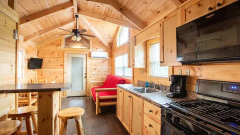 Pine Forest Cabin — image 2 of 23
