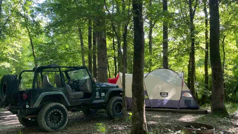 Tent Site — image 3 of 3