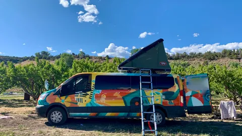 Peach Lane Campsites — image 2 of 5