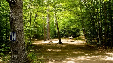 Tent Site — image 2 of 14