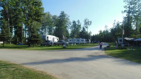 Forest Site — image 1 of 5