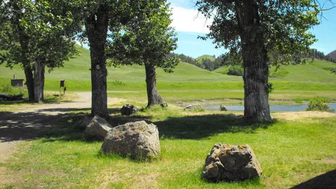 Rotary — image 2 of 8