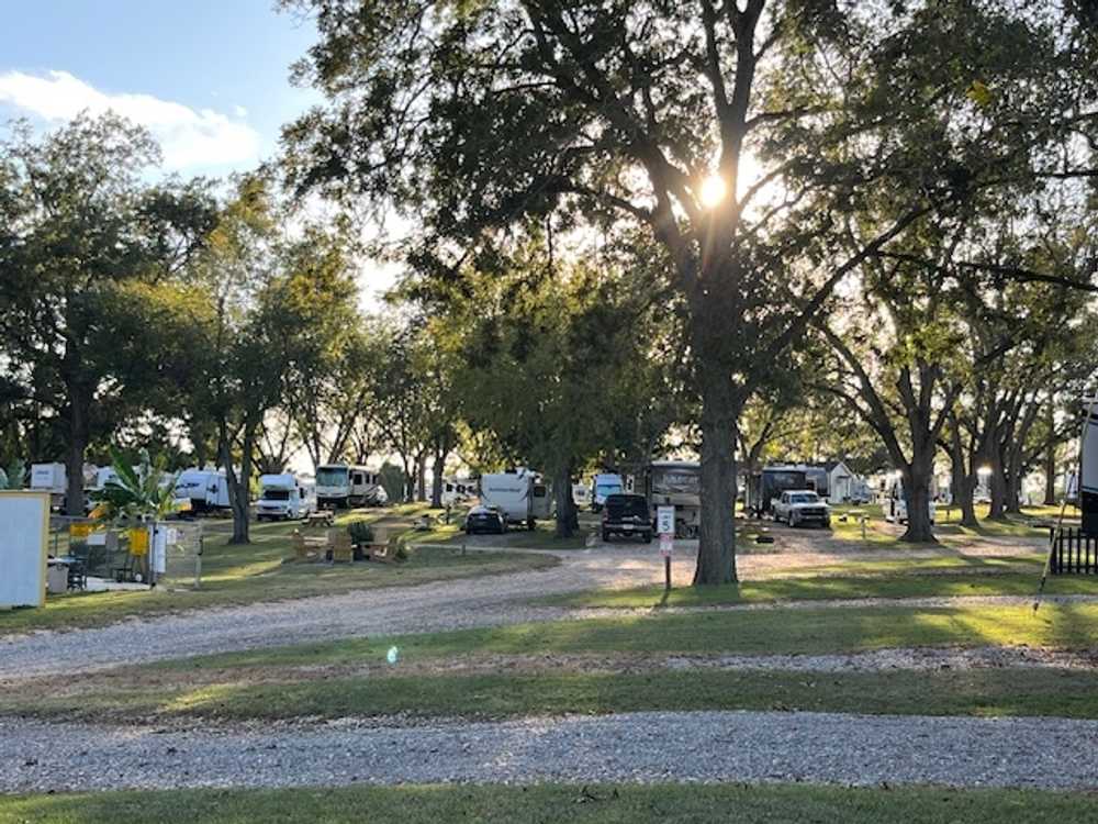 Park Image 15