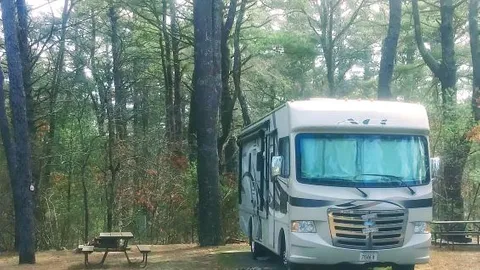 Large Full Hookup 30amp RV Site — image 2 of 2