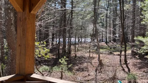 Cozy Cabin 1 (SpyRock) — image 2 of 9