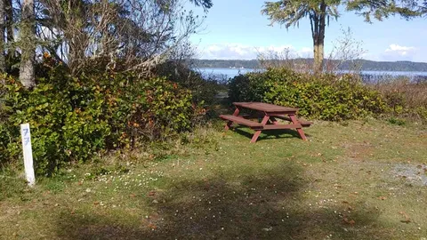 Un-serviced Wood Land Tent Sites (71-77) — image 2 of 6