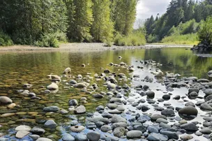 Pathfinder Camp Resorts-Parksville – photo 4