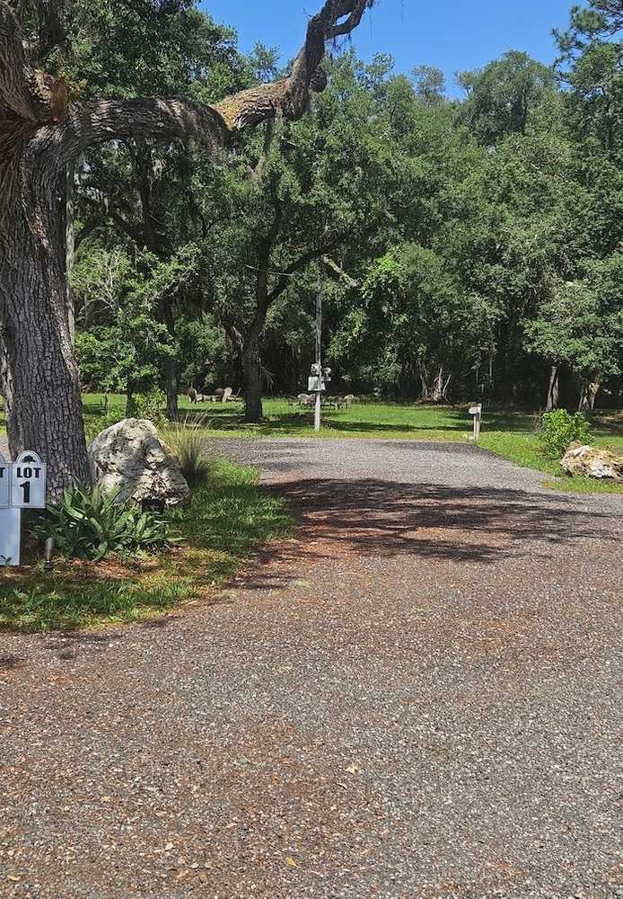 Park Image 7