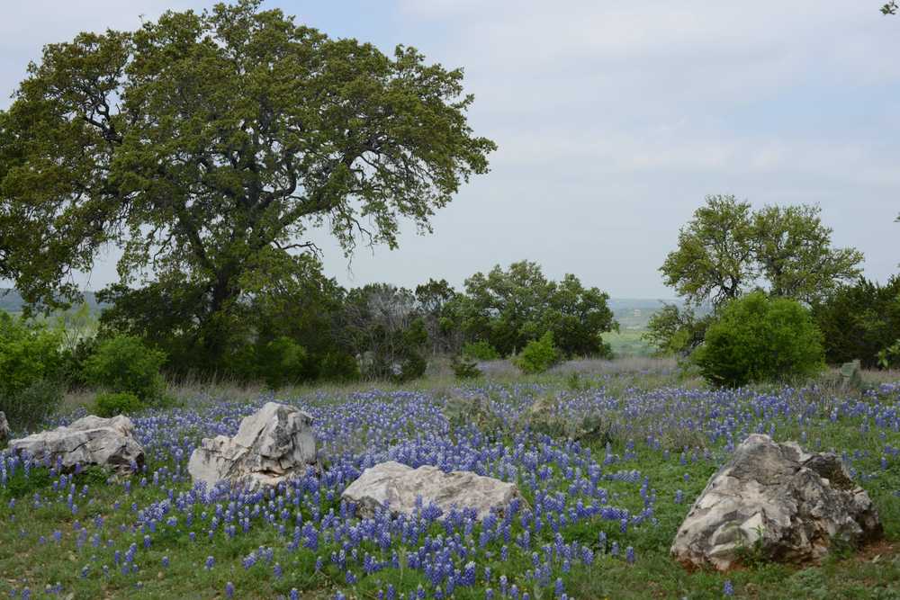Park Image 5