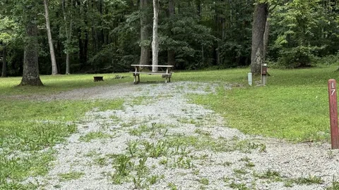 Extra Large Size Site 36'-40', 30 Amp W/E Back-in RV Site — image 1 of 1