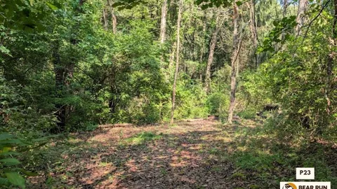 Primitive Walk In Tent Site — image 22 of 22