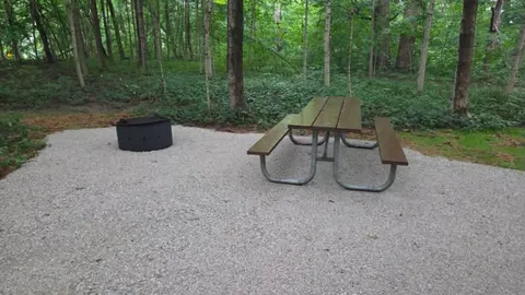 Miami Trail Cabin — image 5 of 5