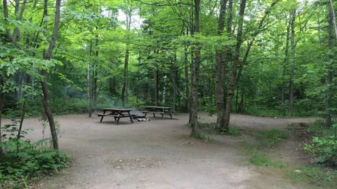 Group — image 1 of 4