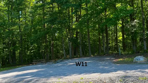 Wooded Electric RV — image 9 of 9