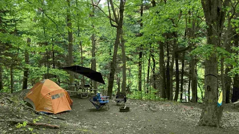 Primitive Tent Site (500's) & (600's) — image 2 of 6