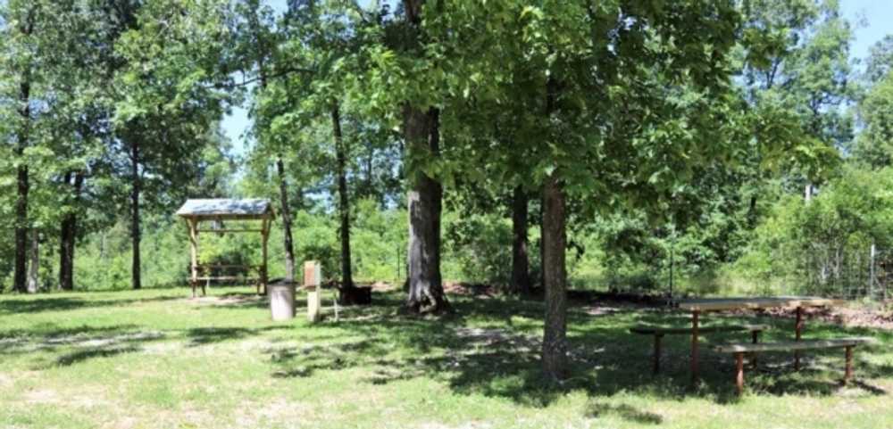Mountain View RV Park - Photo 3