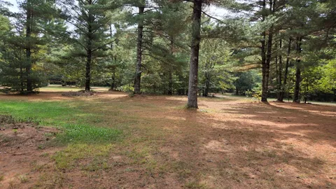 Primitive Tent (Single or Group) Site — image 6 of 6