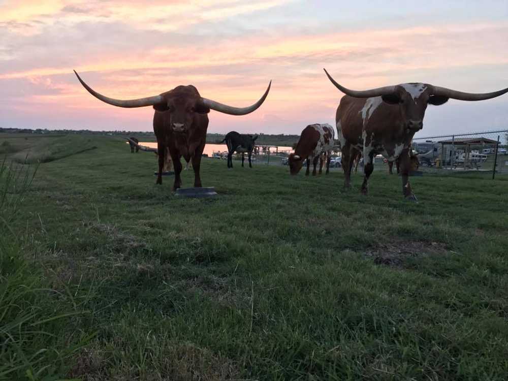 Longhorn RV Resort, Niederwald, Texas - Photo 5