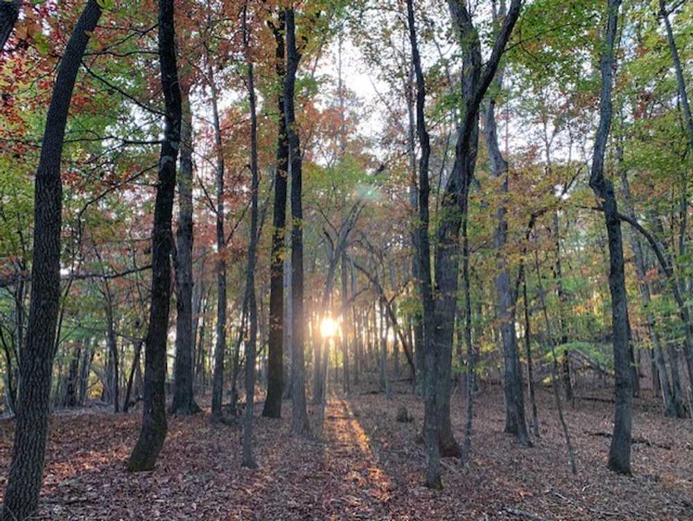 Heaven In The Hills Campground, Westfield, North Carolina - Photo 4