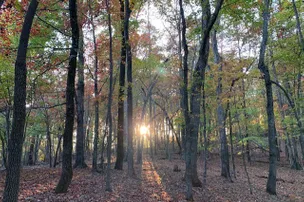 Heaven In The Hills Campground – photo 5