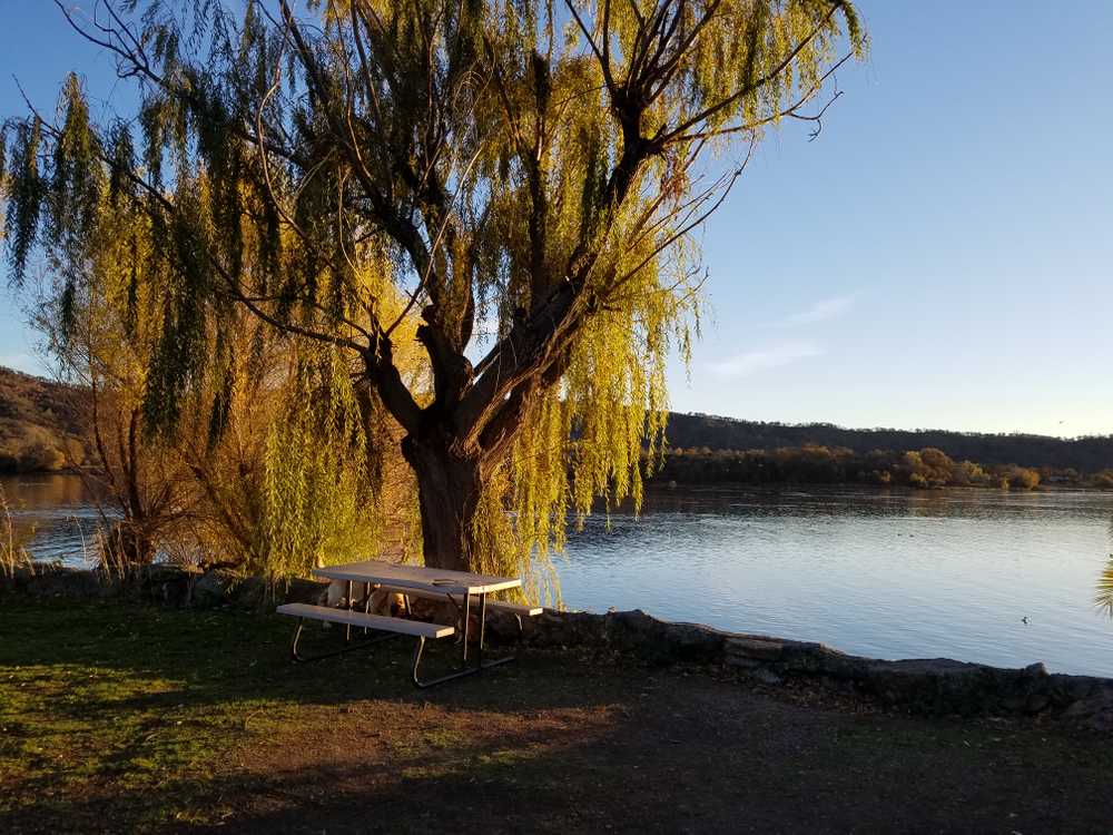 Park Image 8
