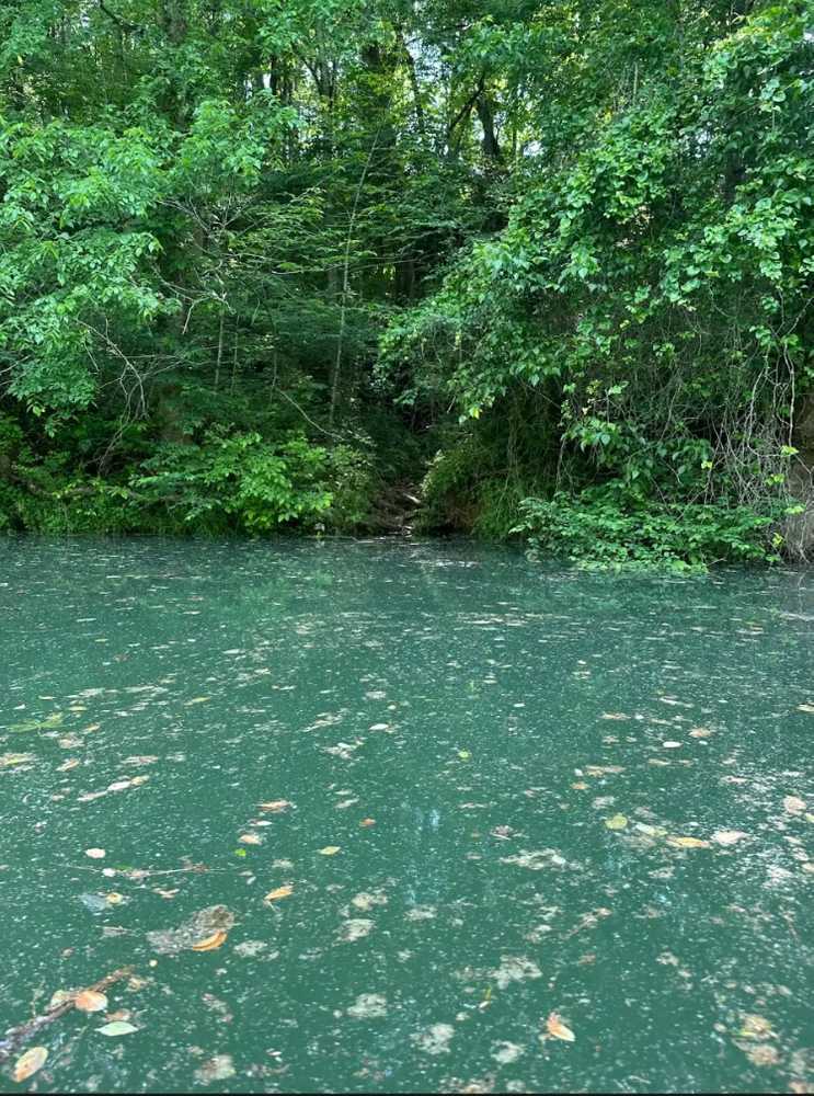 Calfkiller Bend Campground, Doyle, Tennessee - Photo 4