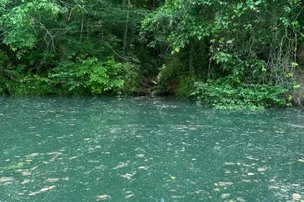 Calfkiller Bend Campground – photo 4