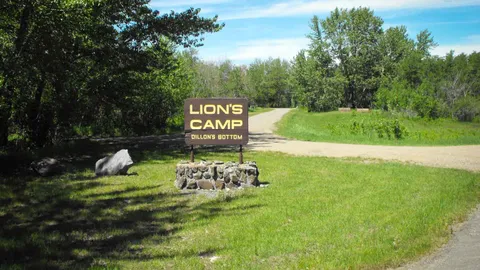 Lions B — image 1 of 7