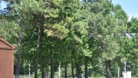 Deluxe Full Hookup RV Site — image 4 of 4