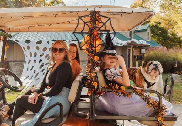 Halloween Weekends (Halloween 10/31)