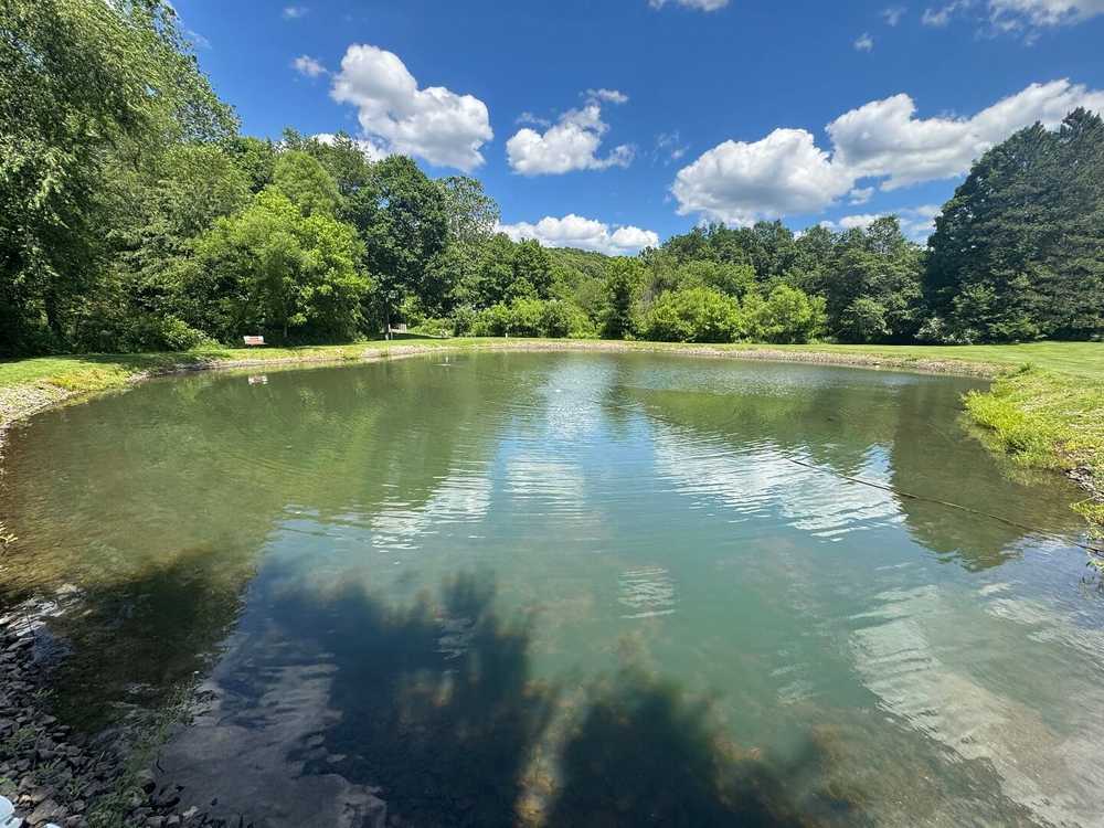 Park Image 6