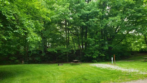 Full Hook-Up Back-In RV Site — image 2 of 3