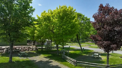 Poolside Shade RV Site — image 1 of 2