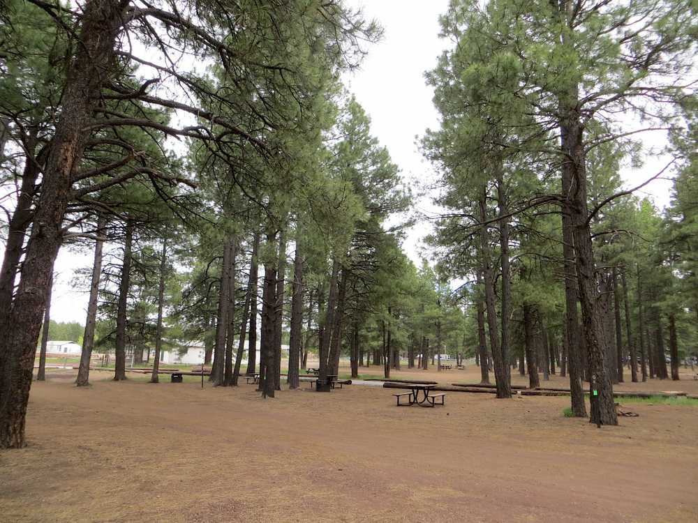 Fort Tuthill County Campground - Photo 4