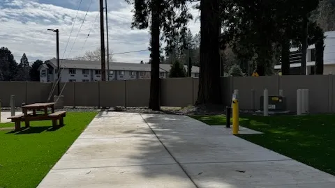 Premium Back-In RV Site — image 4 of 4