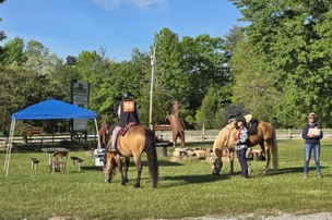 True West Campground and Stables – photo 3