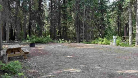 Standard 30A Full Hookup Site — image 1 of 3