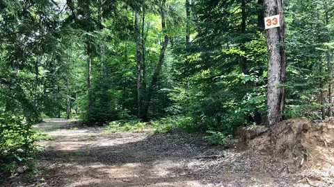Wilderness — image 2 of 19