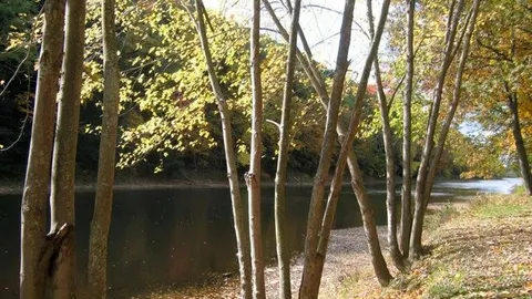 Waterfront Electric/Water RV Site — image 2 of 3